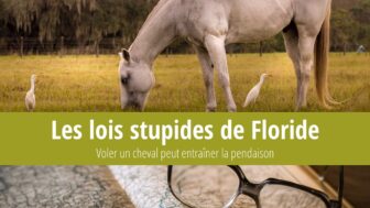 28 lois stupides de Floride