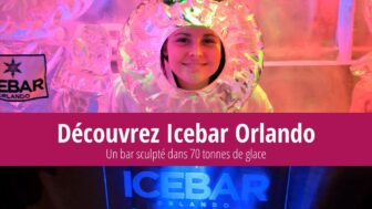 L’Icebar Orlando est un bar sculpté dans 70 tonnes de glace