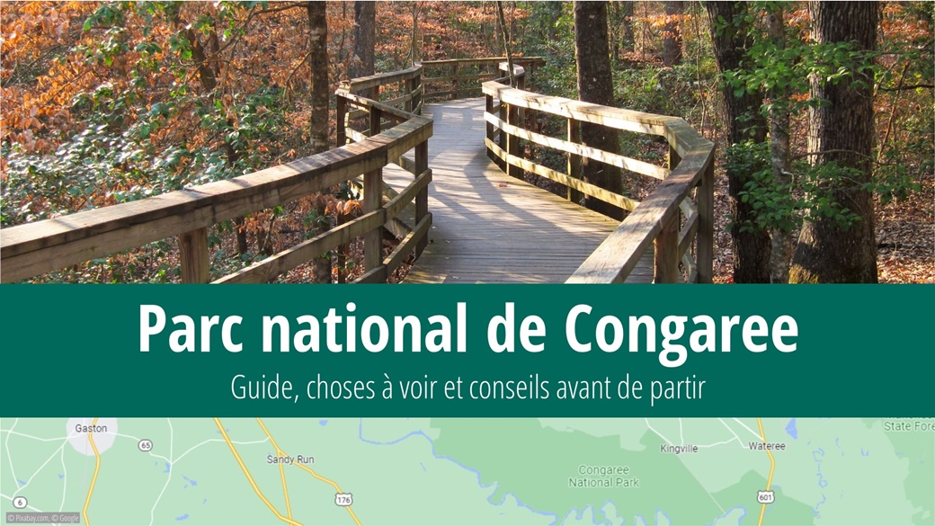 Congaree National Park | © Miguel Vieira