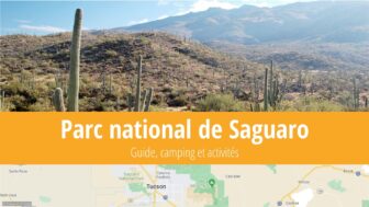 Parc national de Saguaro – faits, guide, météo et photos