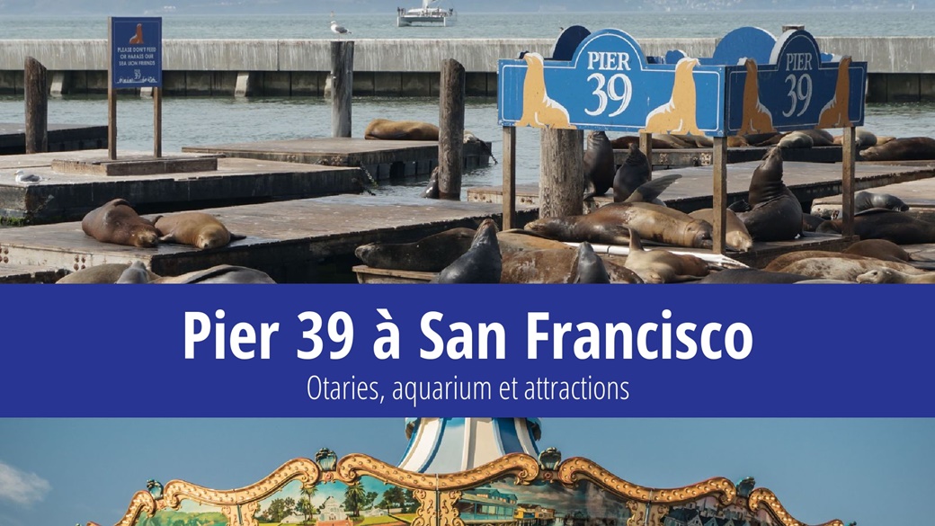 Pier 39 à San Francisco – otaries, aquarium et attractions | © Pixabay.com